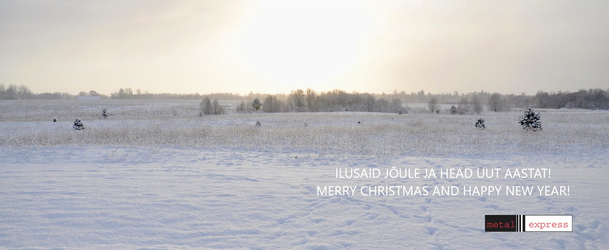 Ilusaid jõule ja head uut aastat!