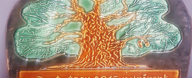 “Saue linna aasta tegu 2015” nominent